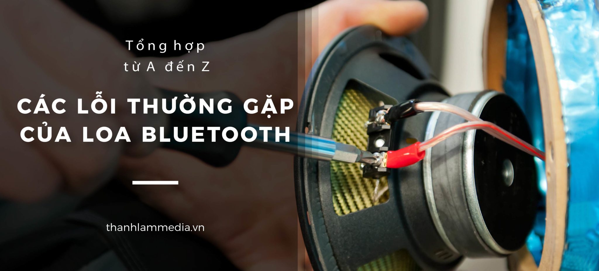 Tổng hợp các lỗi thường gặp khi sử dụng loa bluetooth và cách khắc phục 14