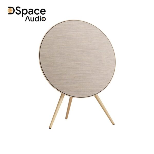 Bang & Olufsen Beosound A9 MK5