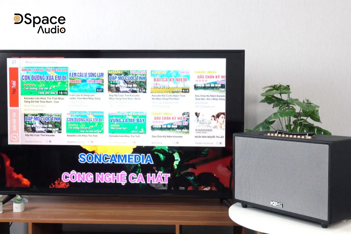 loa karaoke acnos HiNET 3600
