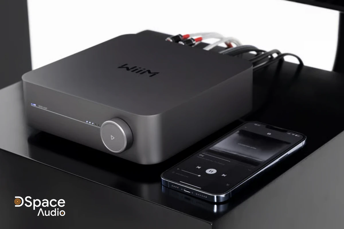 đầu phát wiim amp