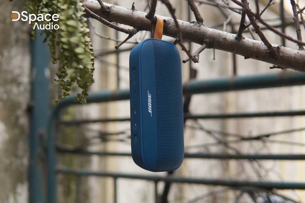 bose flex 2 dspaceaudio