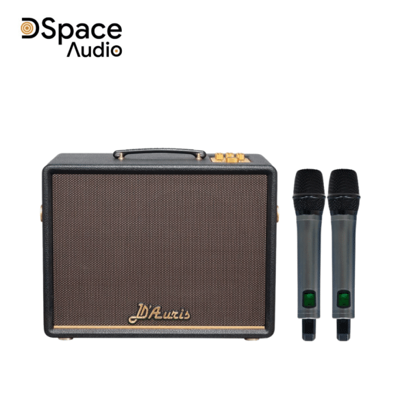 Loa karaoke di động SONCAMEDIA D’Auris 200