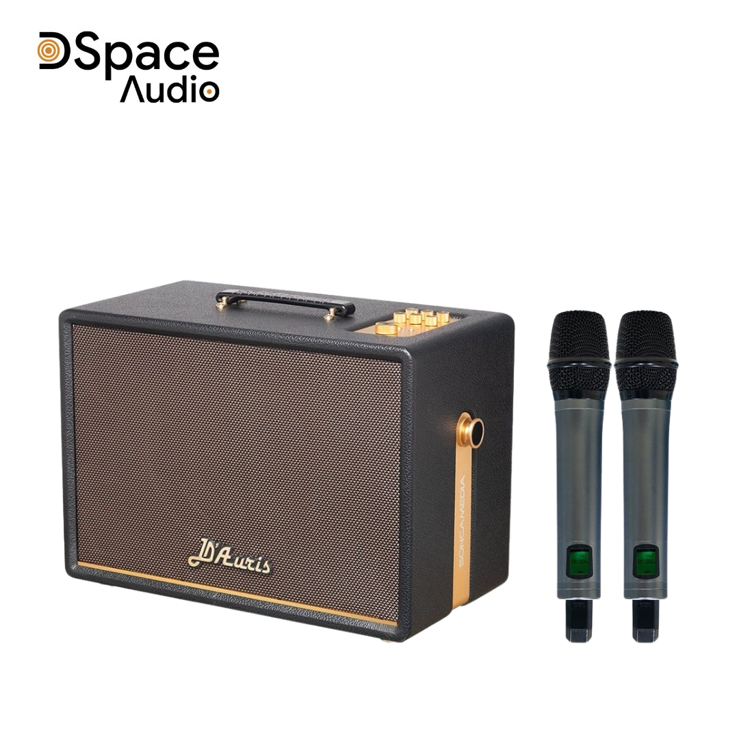 Soncamedia D’Auris 300 03