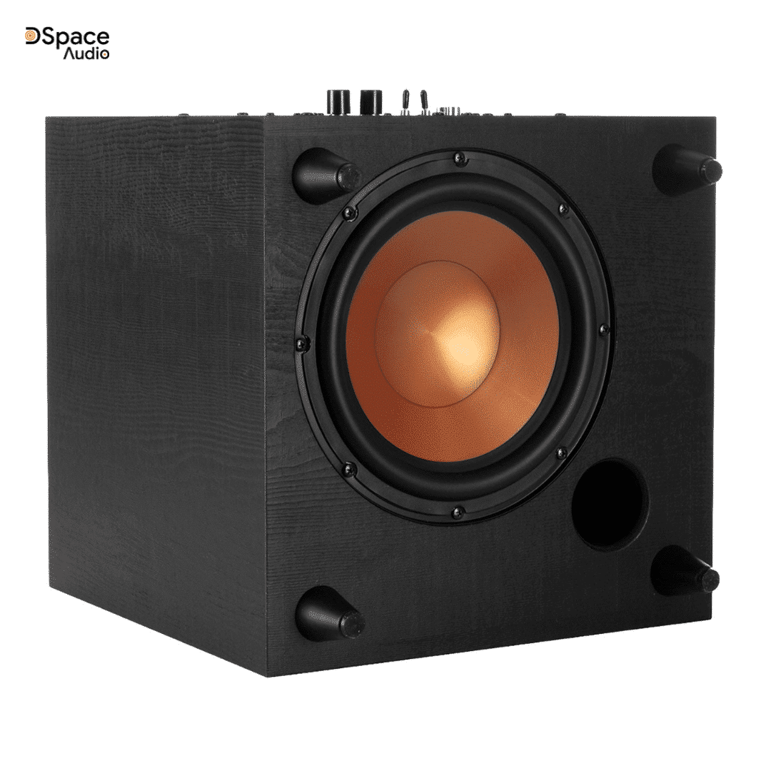 Loa Subwoofer Klipsch R-8SW (2)